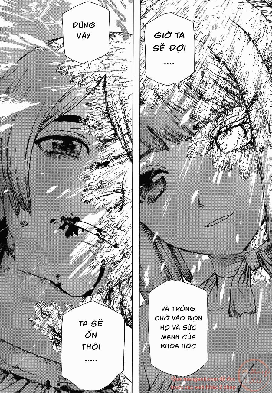 Dr.stone - Chương 121
