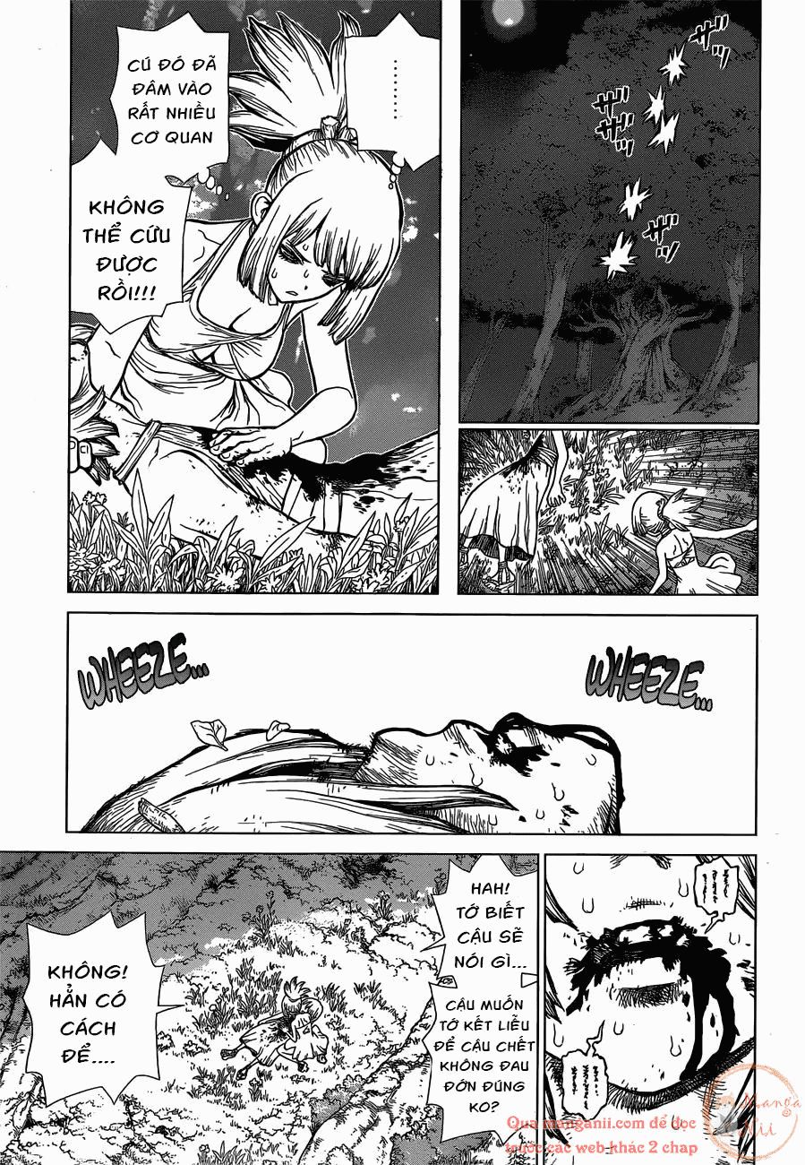 Dr.stone - Chương 121