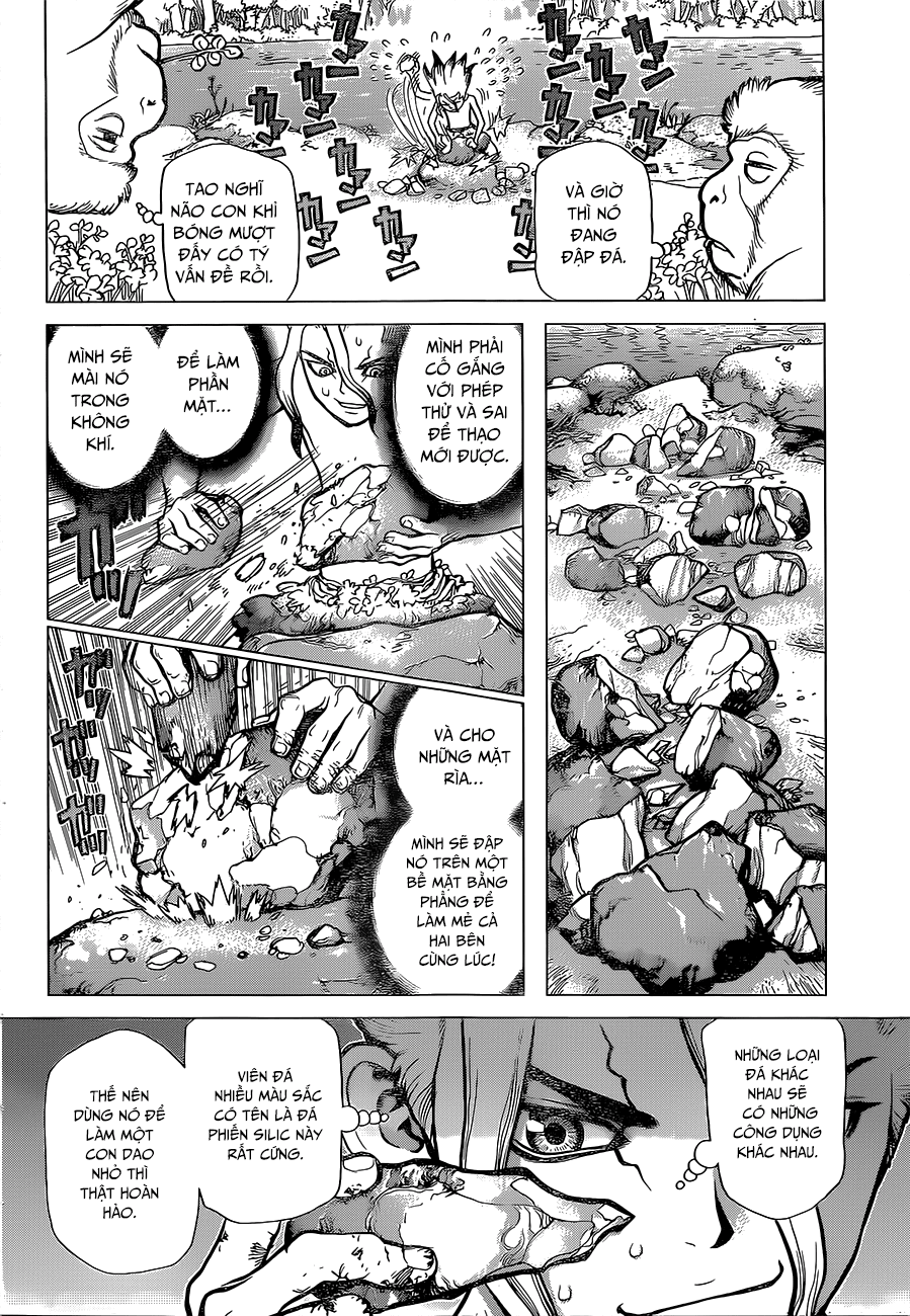 Dr.stone - Chương 13