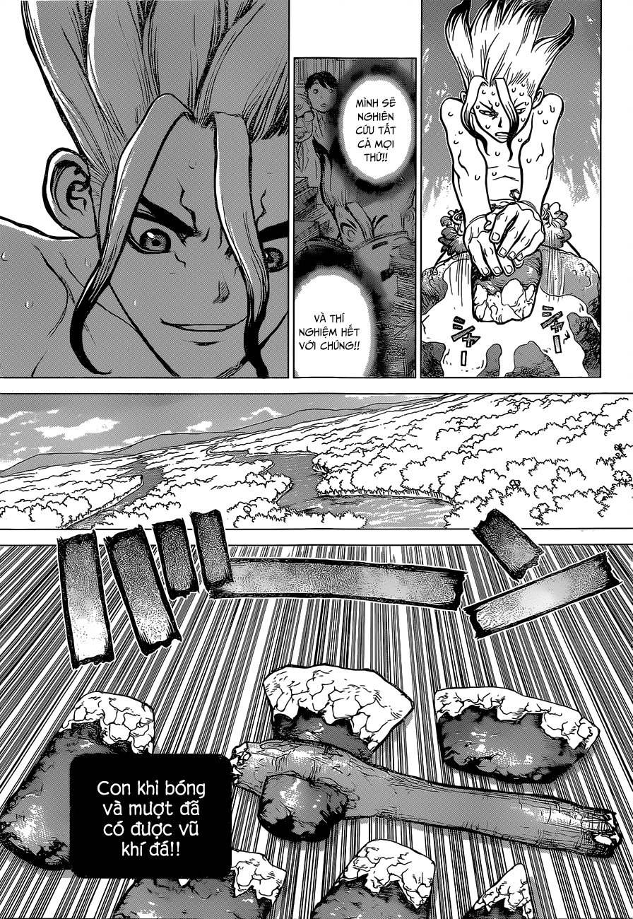 Dr.stone - Chương 13