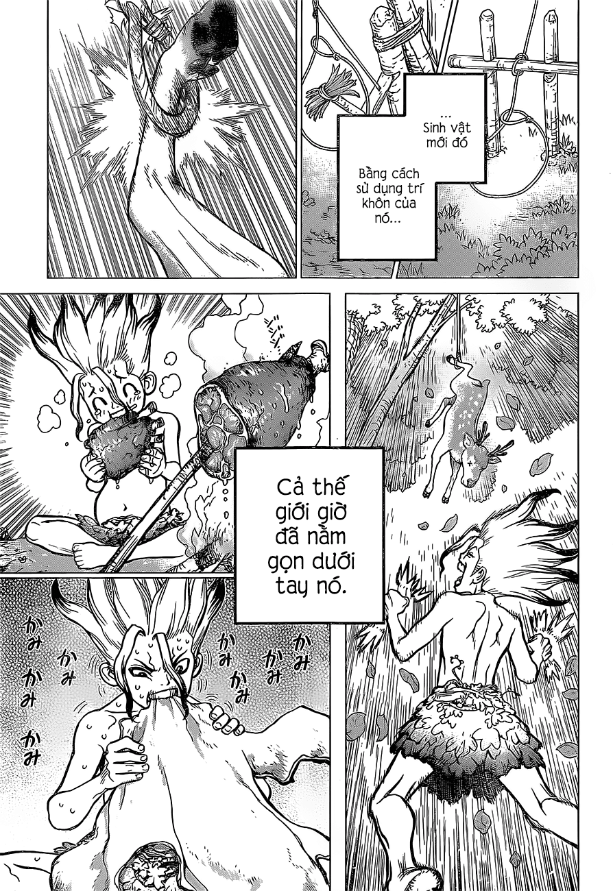 Dr.stone - Chương 13
