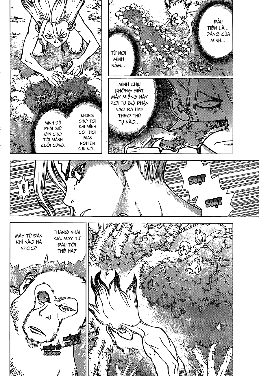 Dr.stone - Chương 13