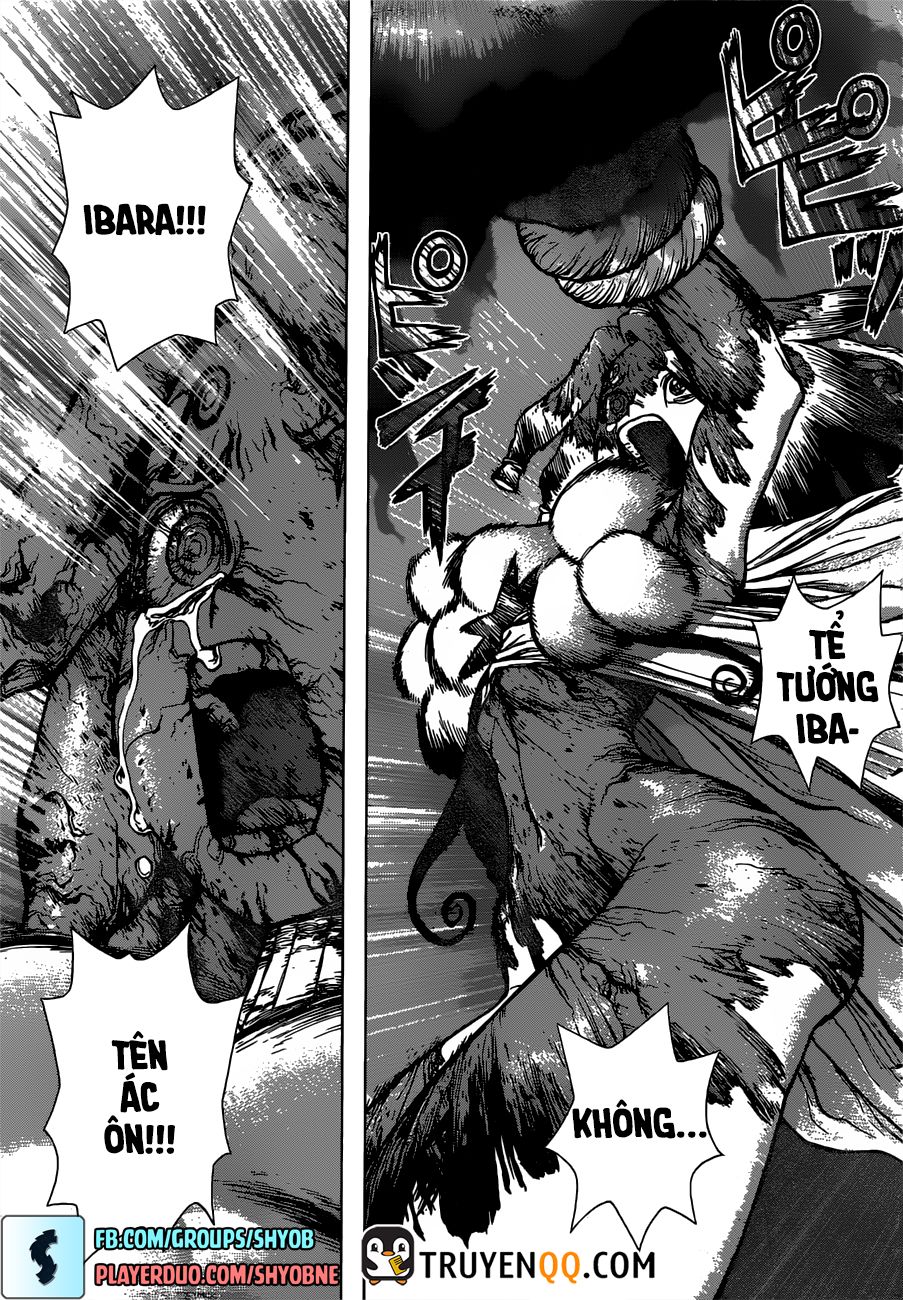 Dr.stone - Chương 131