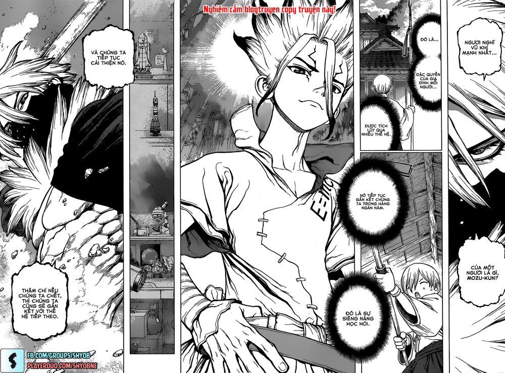 Dr.stone - Chương 132