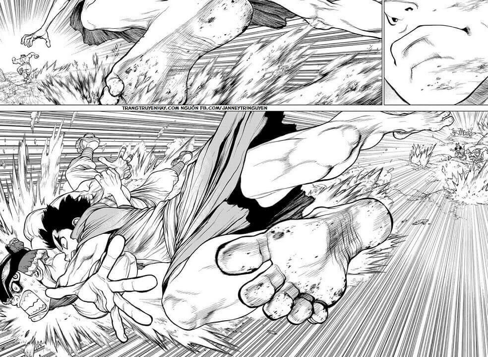 Dr.stone - Chương 133