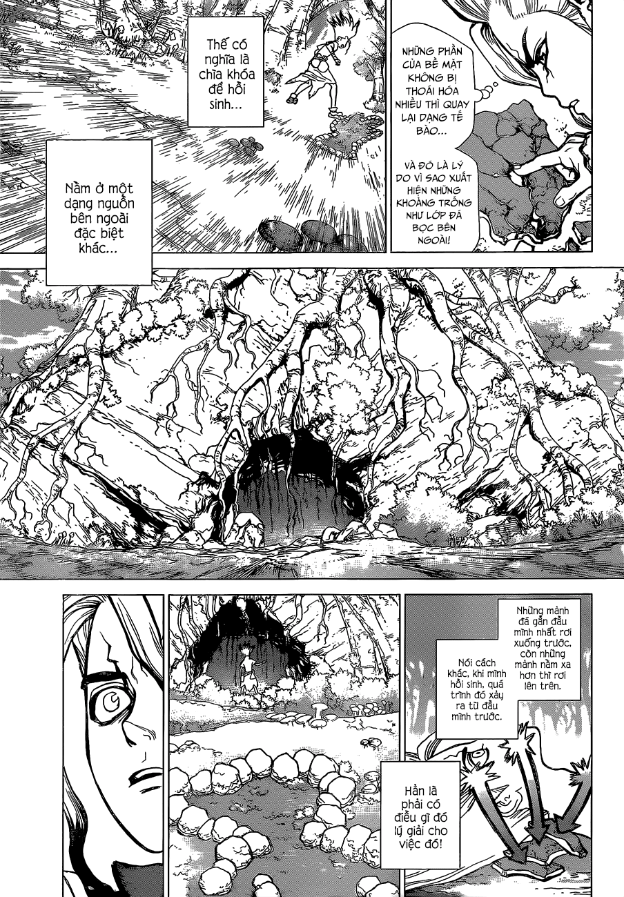 Dr.stone - Chương 14