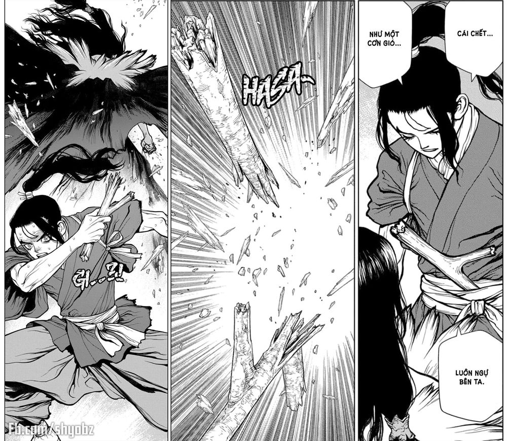 Dr.stone - Chương 141