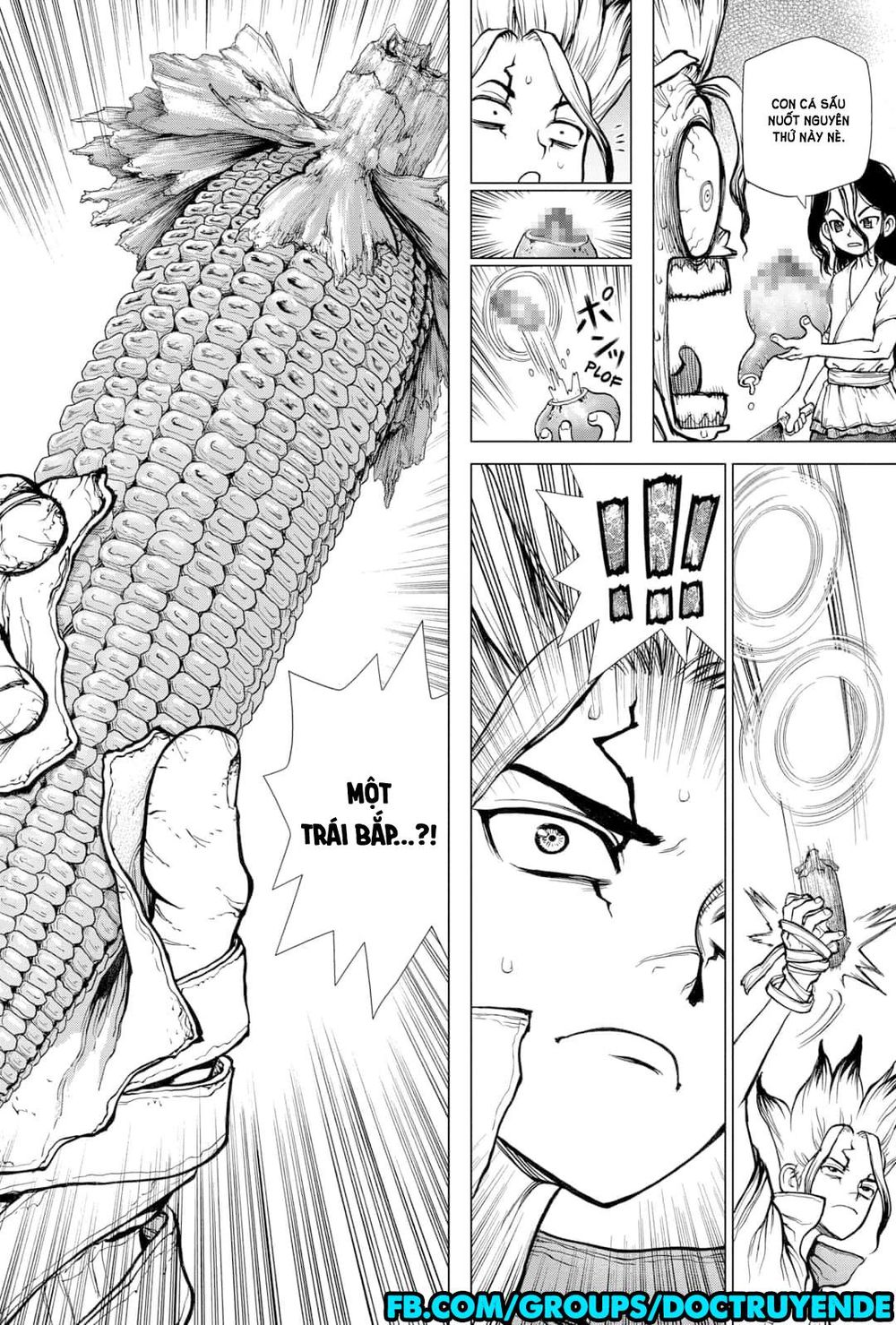 Dr.stone - Chương 148