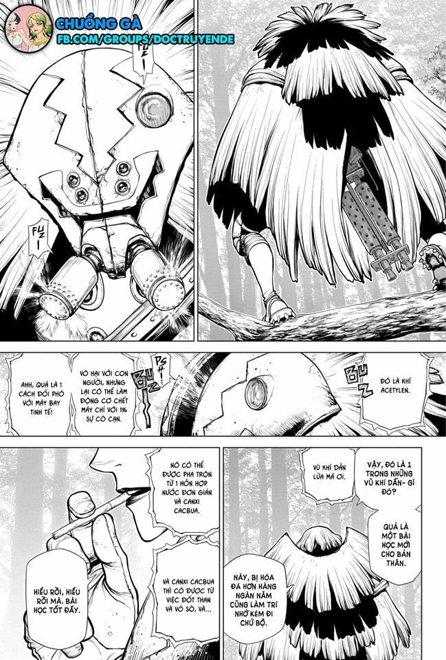 Dr.stone - Chương 150