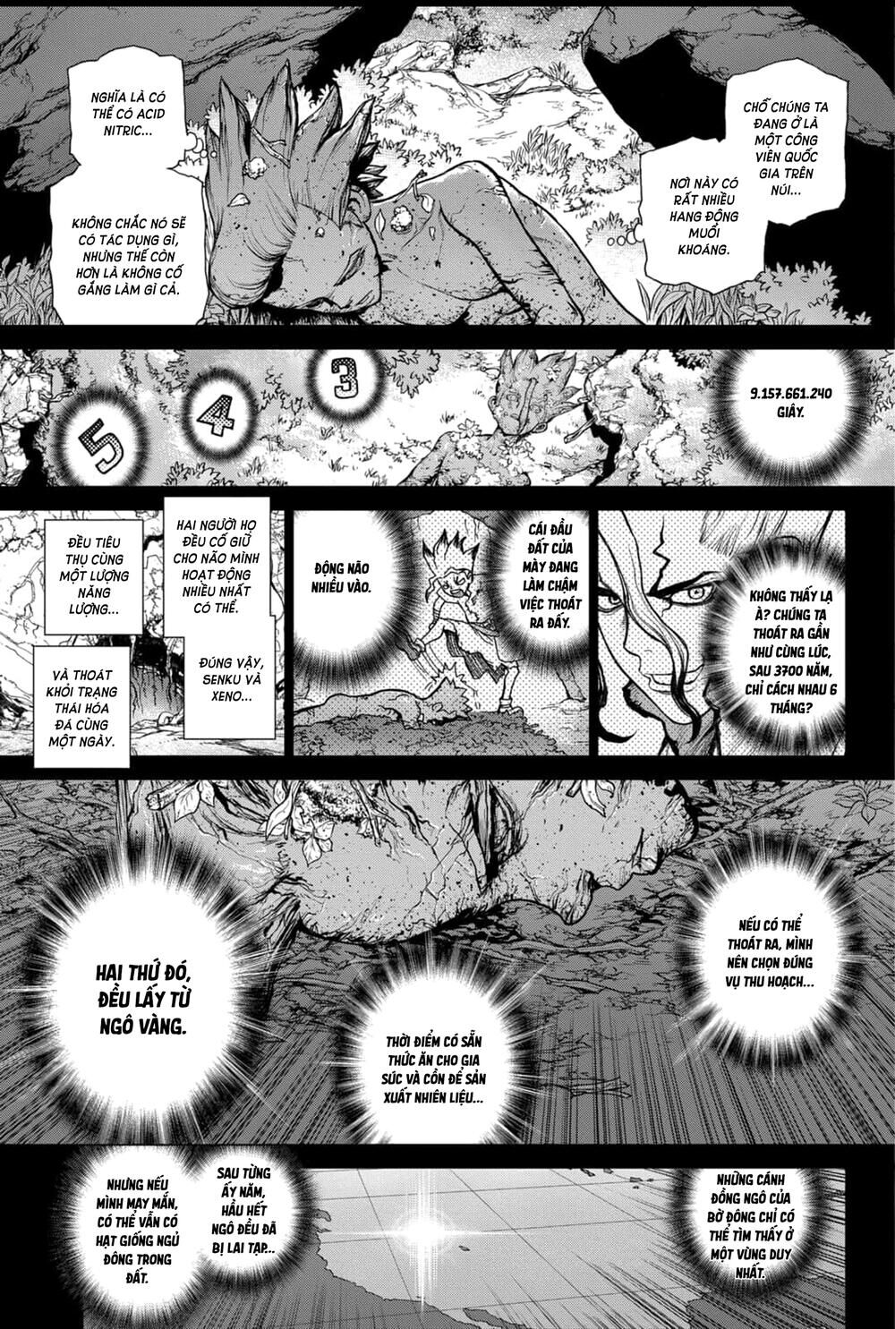 Dr.stone - Chương 157
