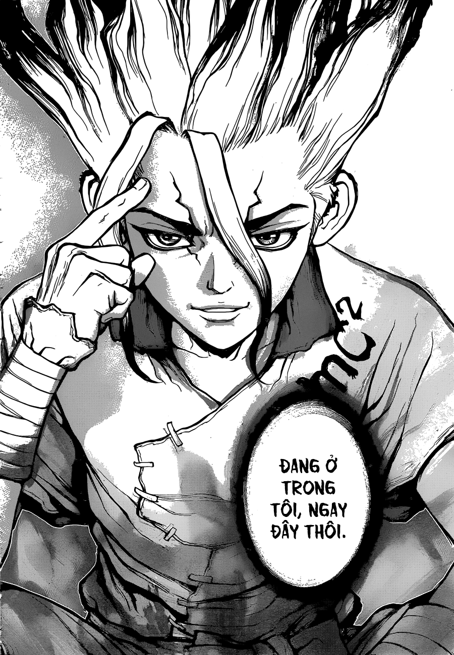 Dr.stone - Chương 19