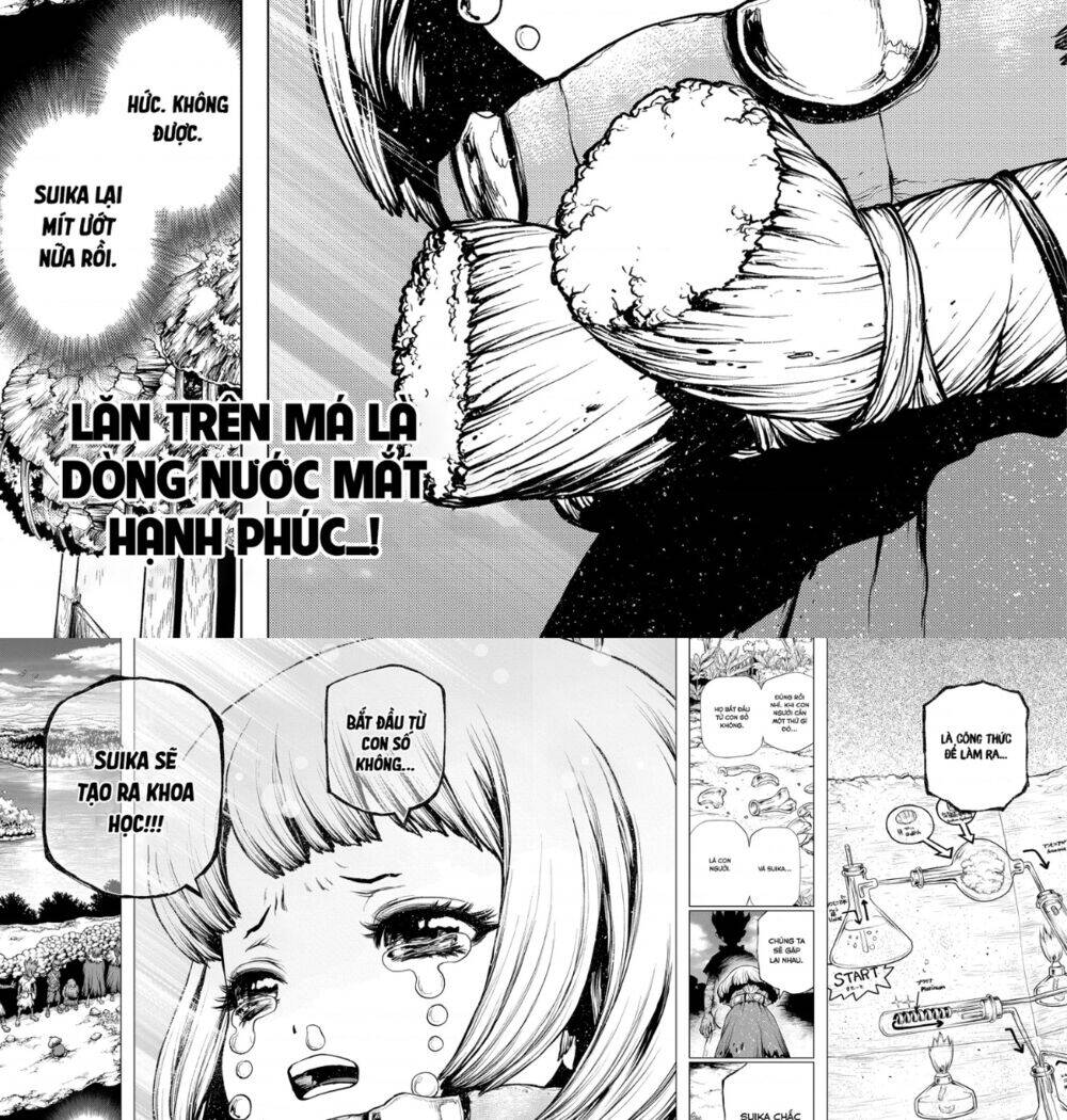 Dr.stone - Chương 195