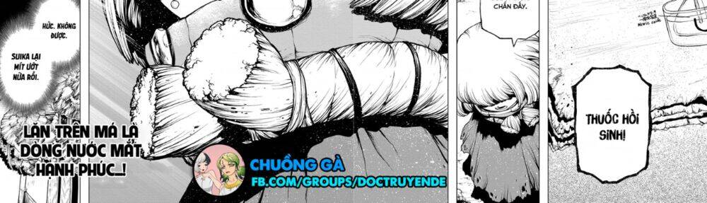 Dr.stone - Chương 195