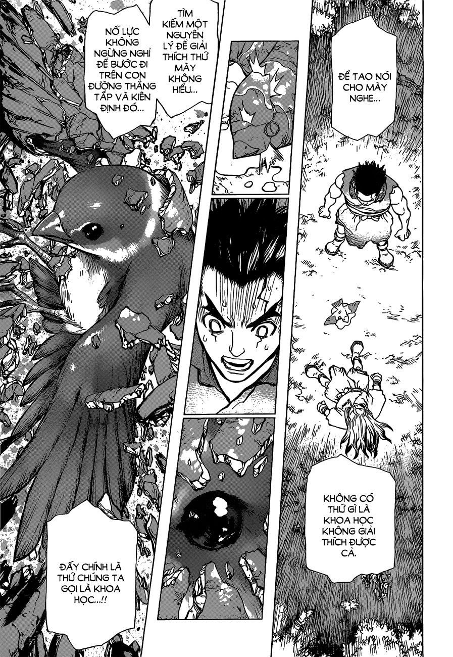 Dr.stone - Chương 2
