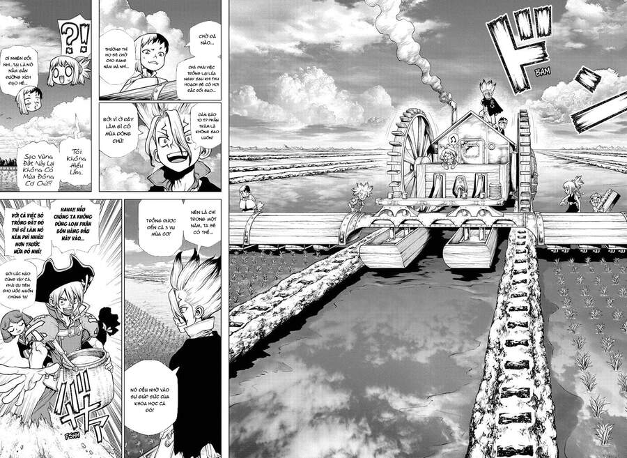Dr.stone - Chương 211