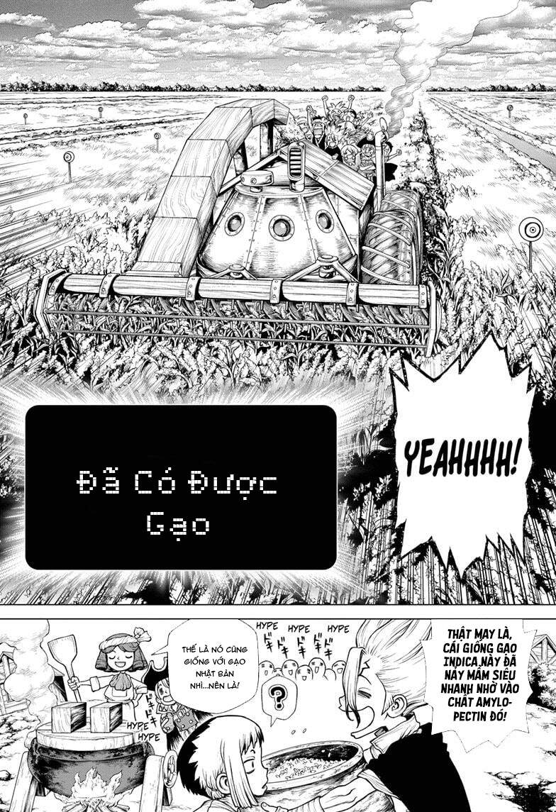 Dr.stone - Chương 211