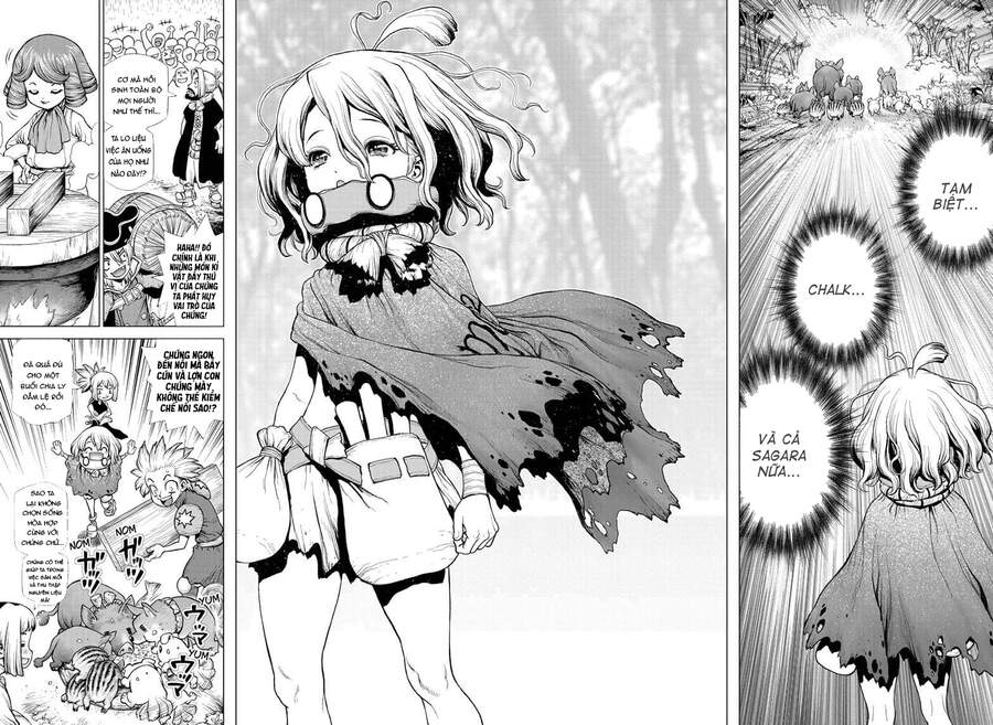 Dr.stone - Chương 212