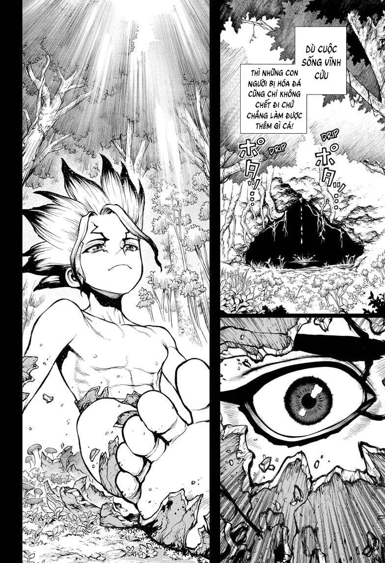 Dr.stone - Chương 229