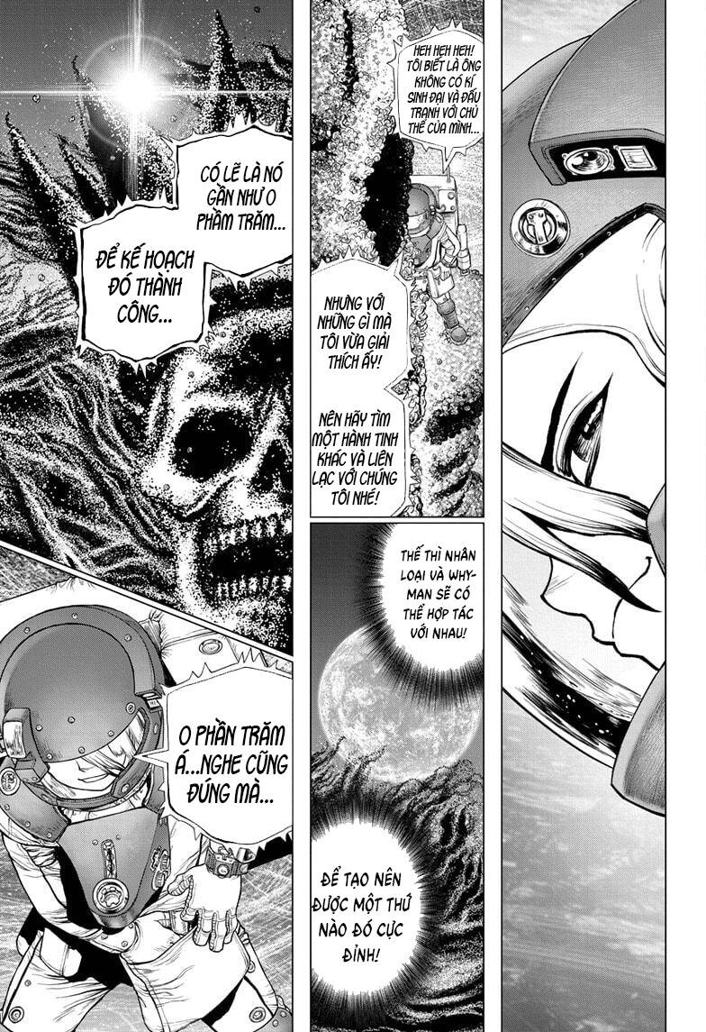 Dr.stone - Chương 231