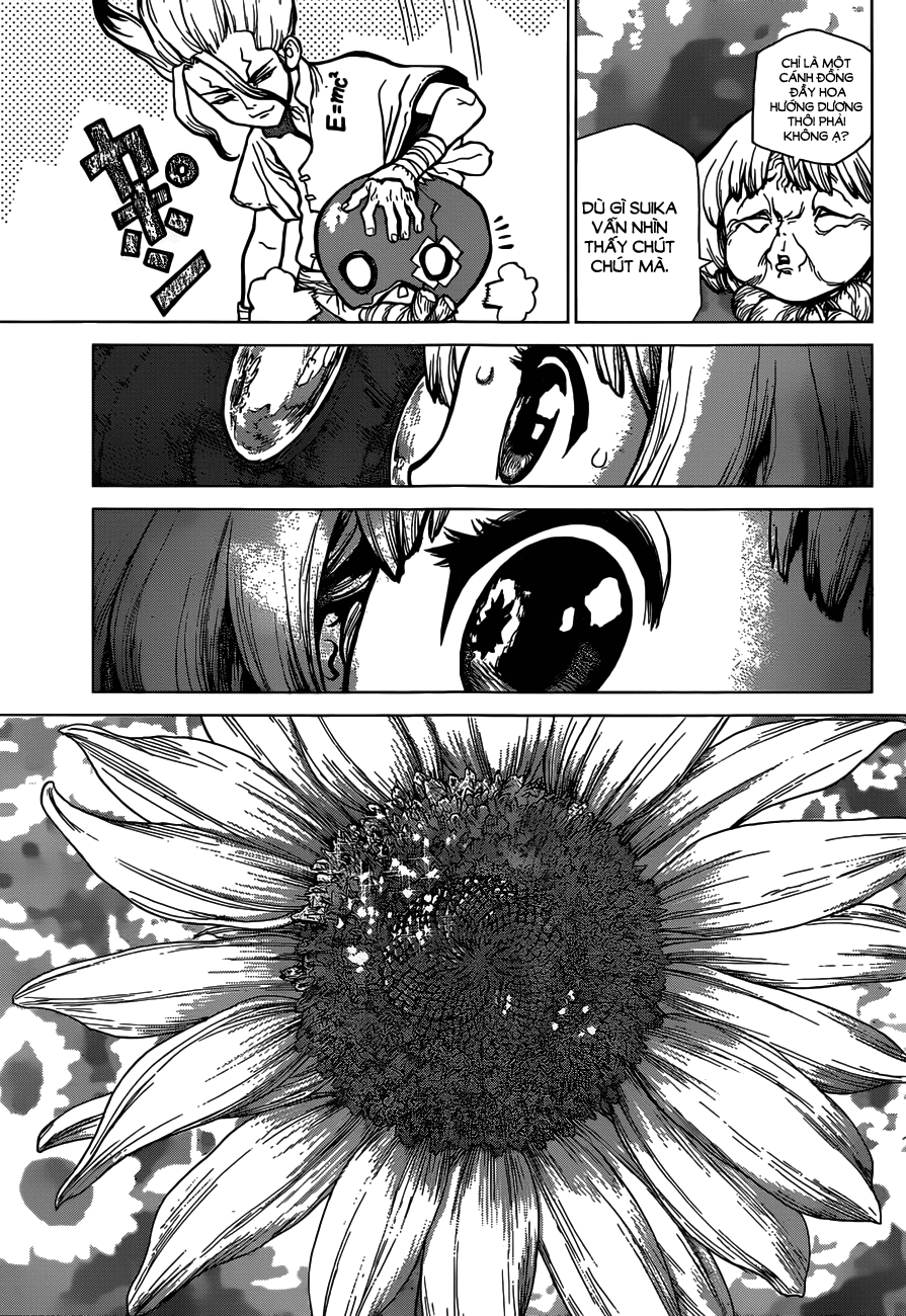 Dr.stone - Chương 28