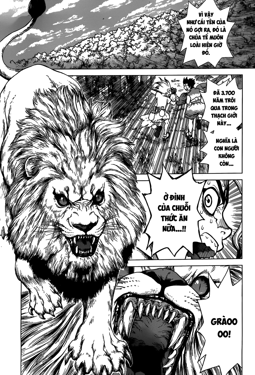 Dr.stone - Chương 3
