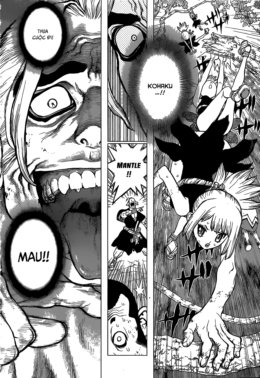 Dr.stone - Chương 36
