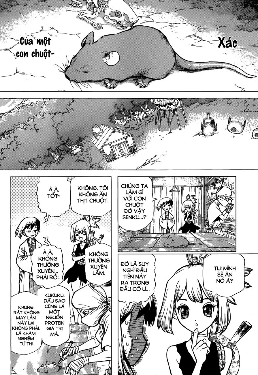 Dr.stone - Chương 41