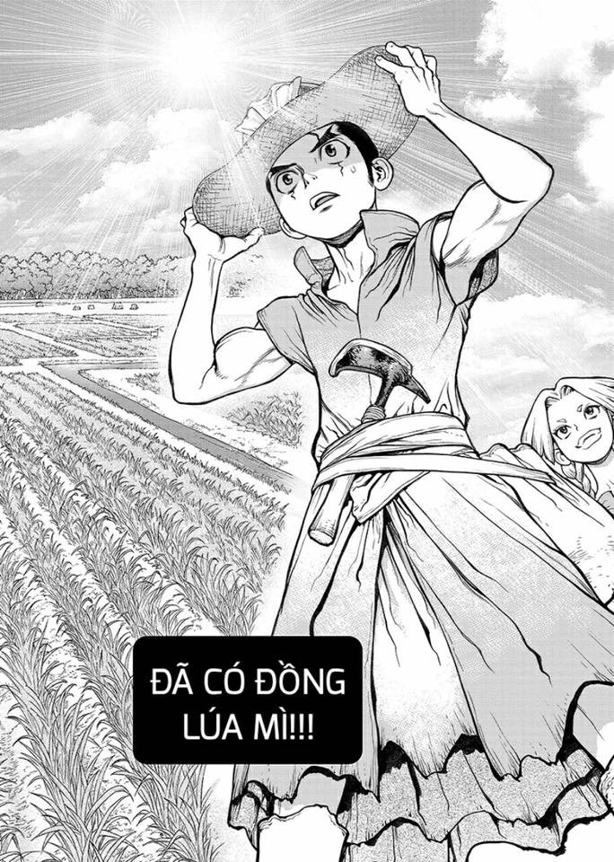 Dr.stone - Chương 91