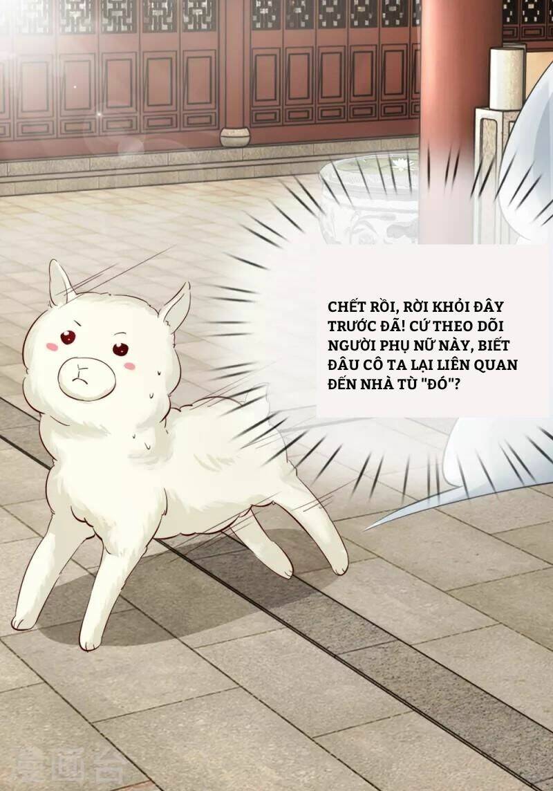 Dụ Địch Thâm Nhập - Chương 9