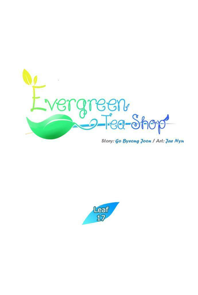 Evergreen Tea - Chương 17