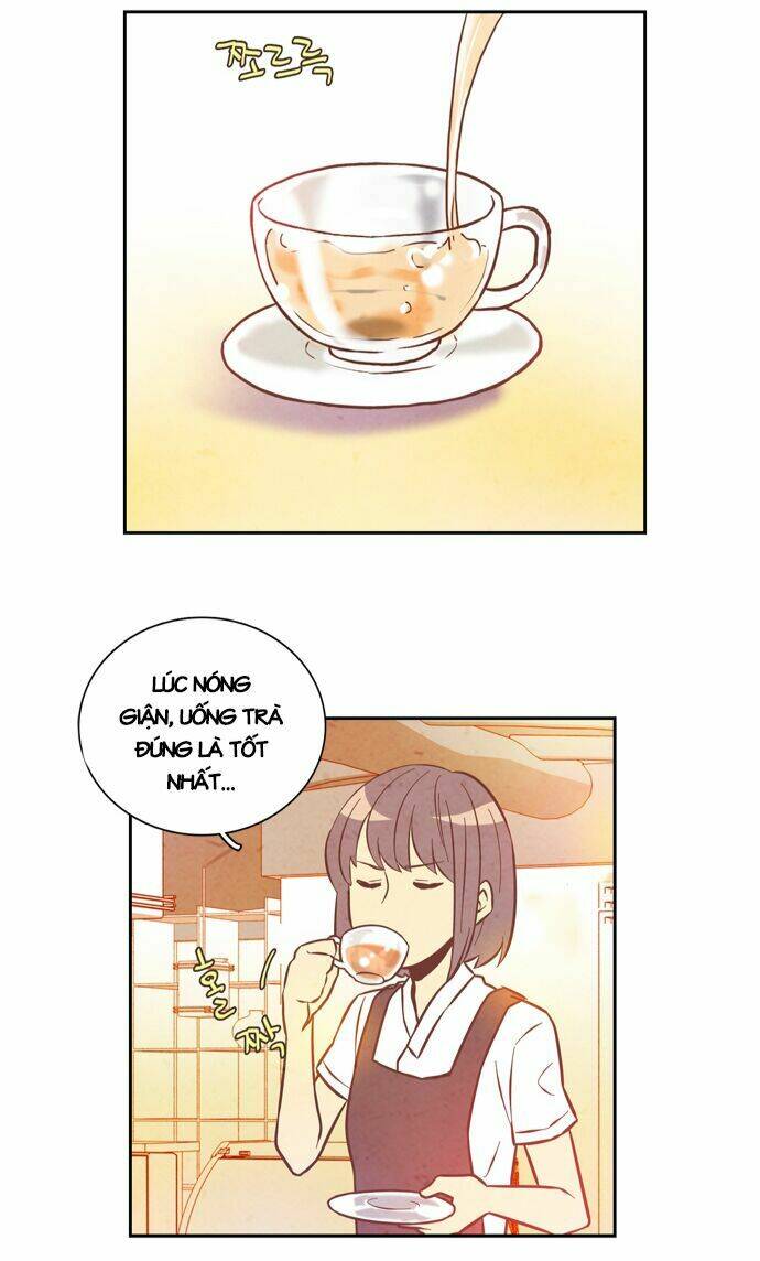 Evergreen Tea - Chương 3