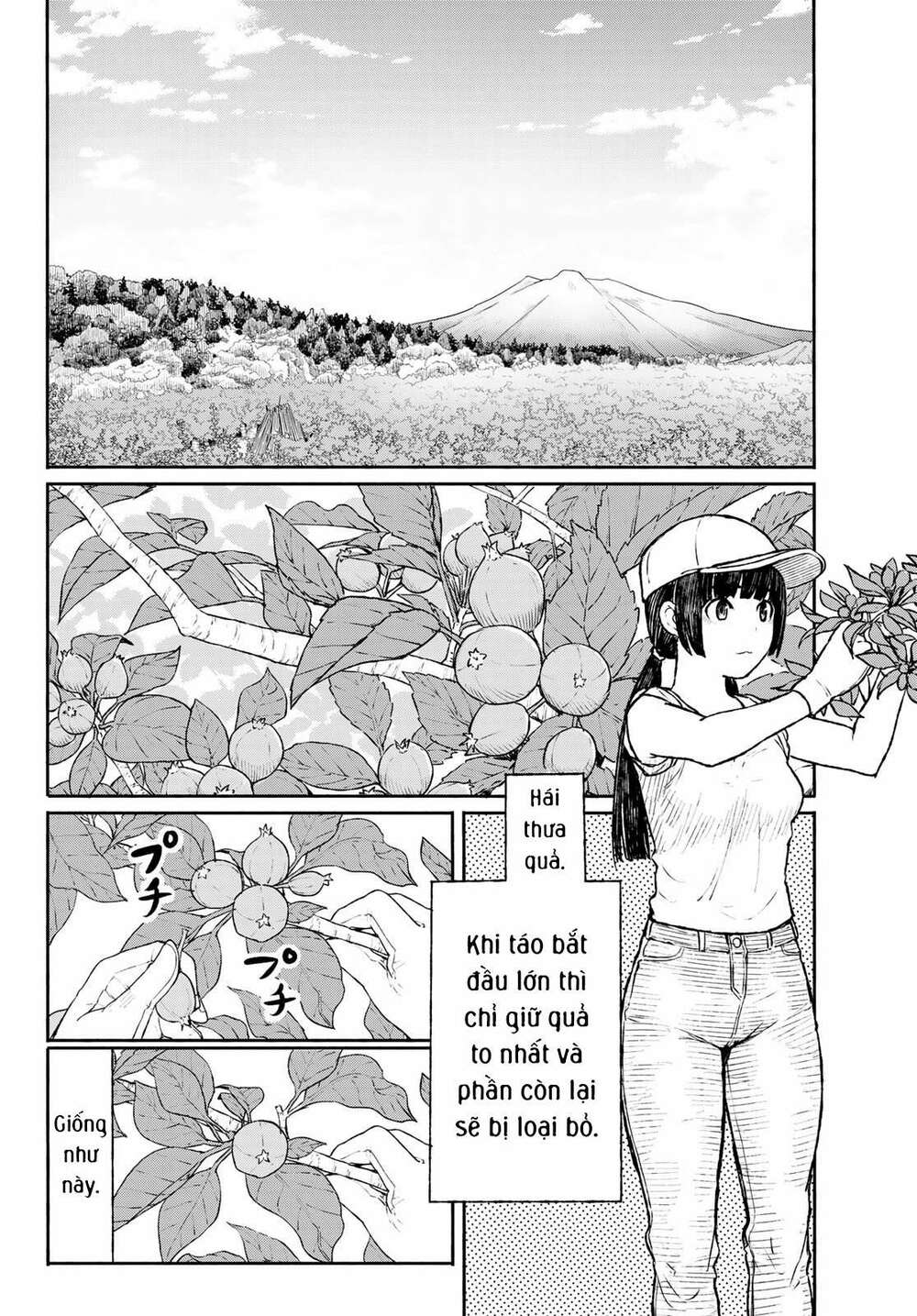 Flying Witch - Chương 47