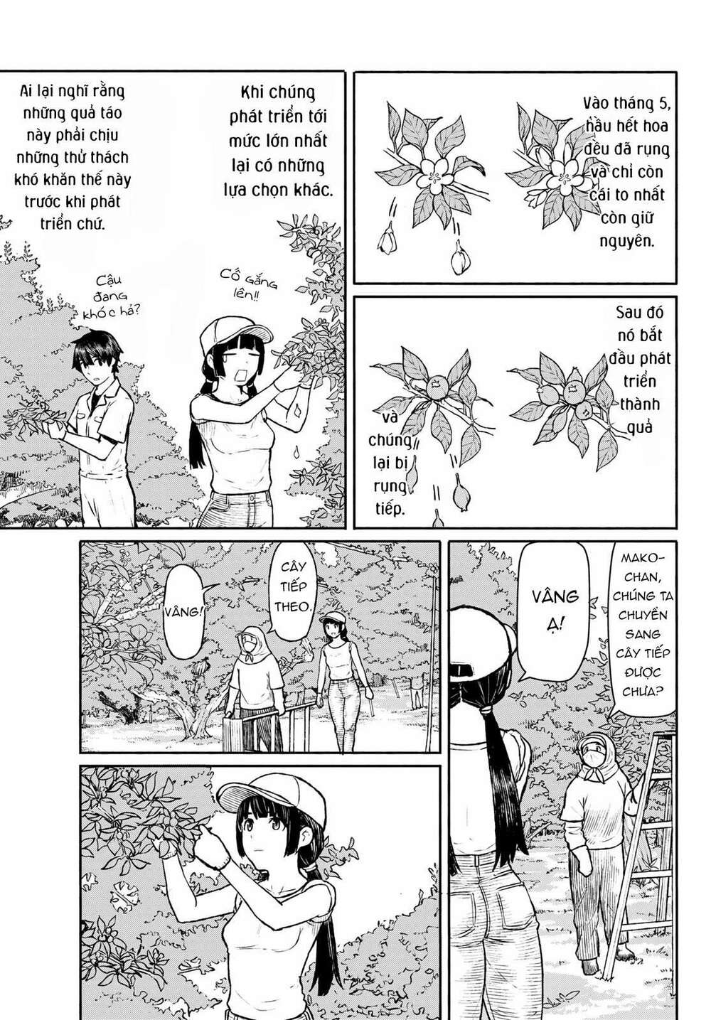 Flying Witch - Chương 47
