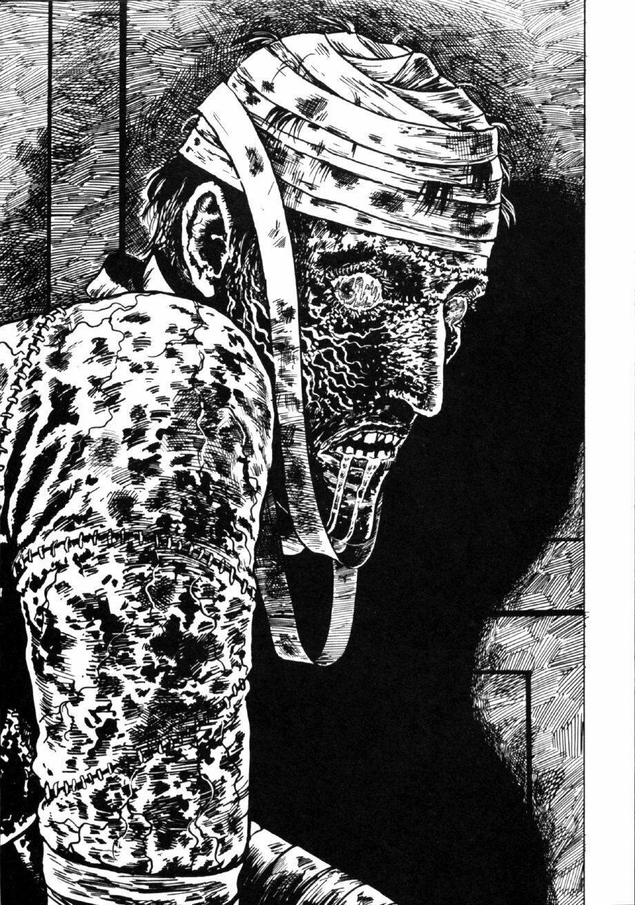 Frankenstein - Chương 2