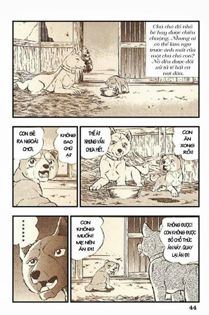 Ginga Densetsu Riki - Chương 2