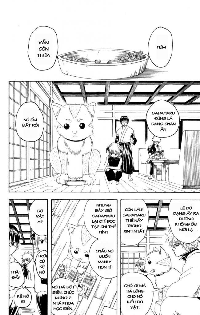 Gintama - Chương 126