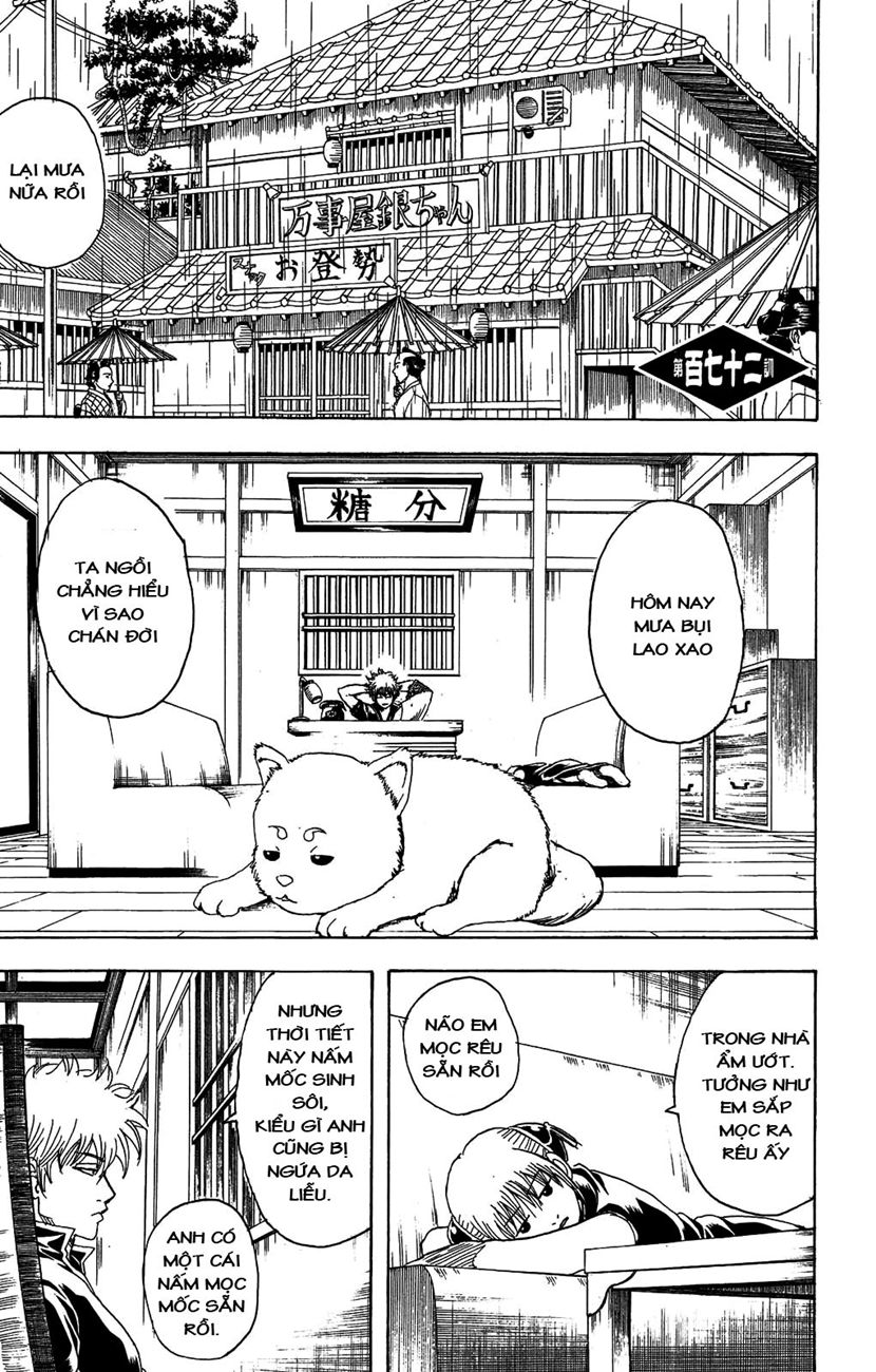 Gintama - Chương 172