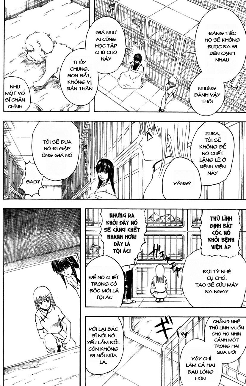 Gintama - Chương 207