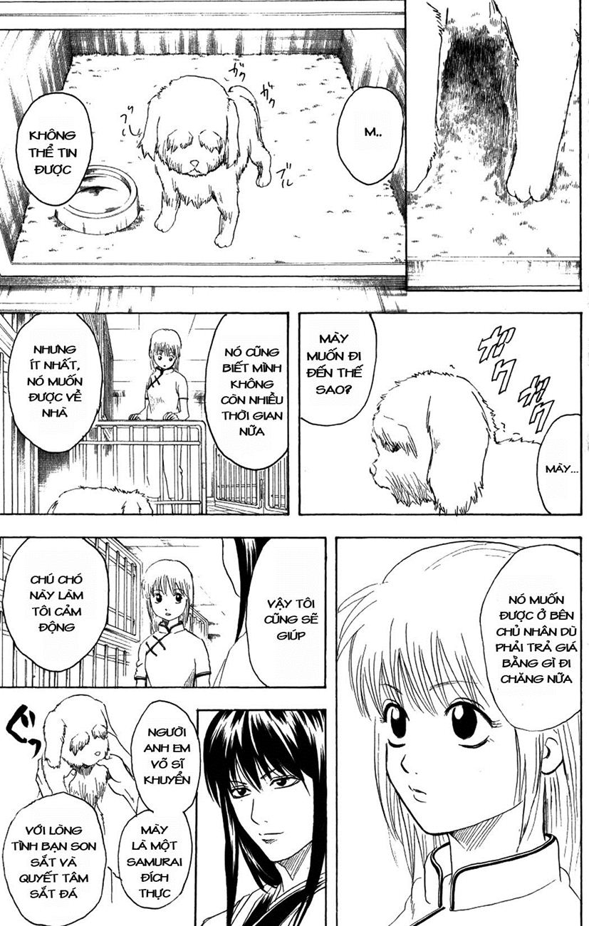 Gintama - Chương 207