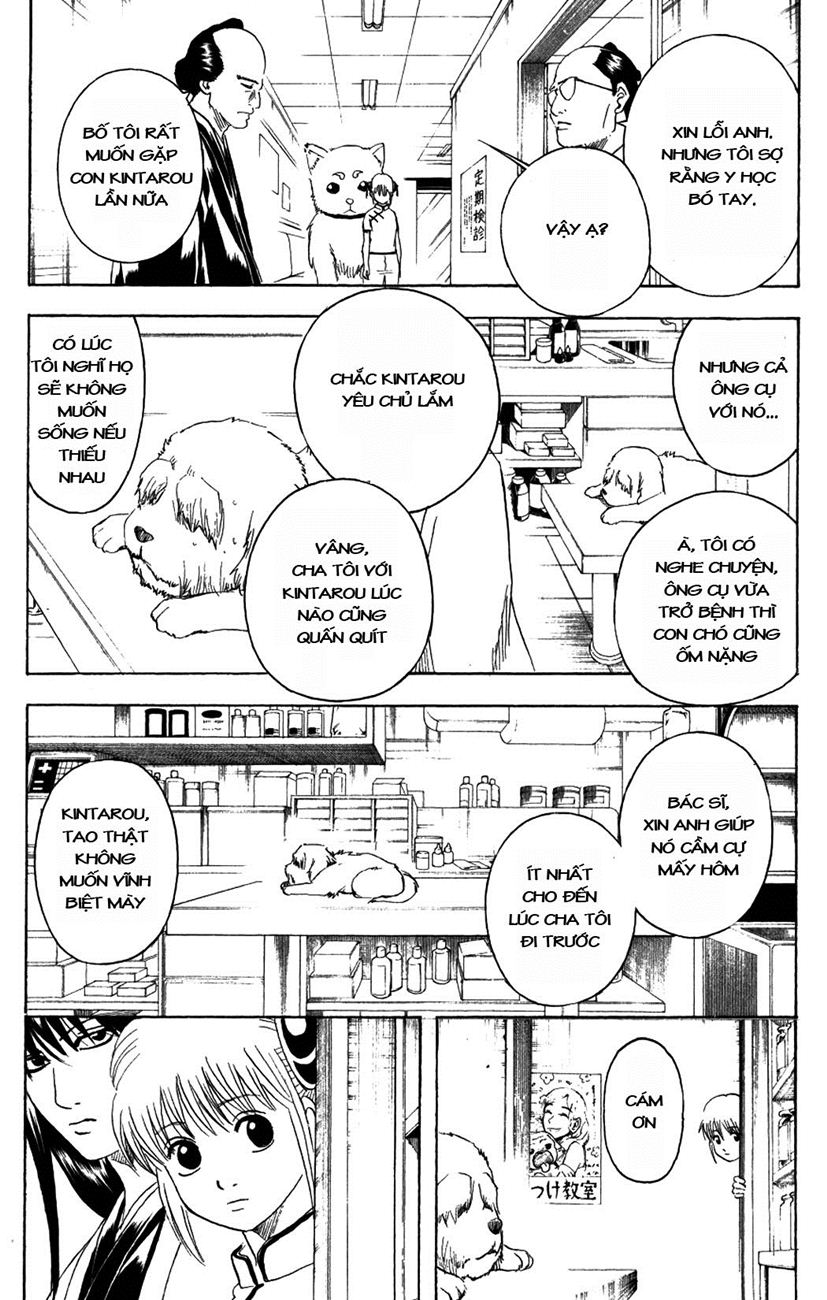 Gintama - Chương 207