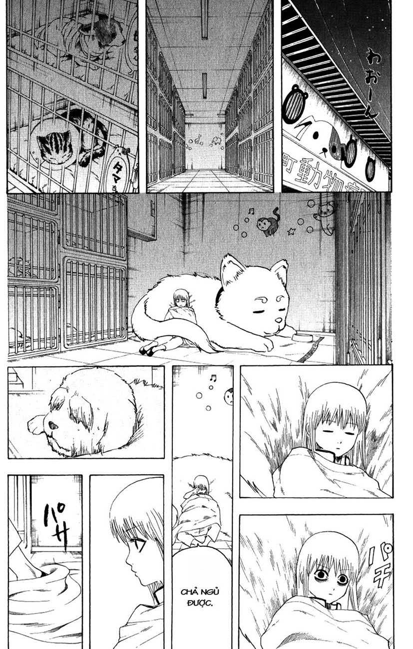 Gintama - Chương 207