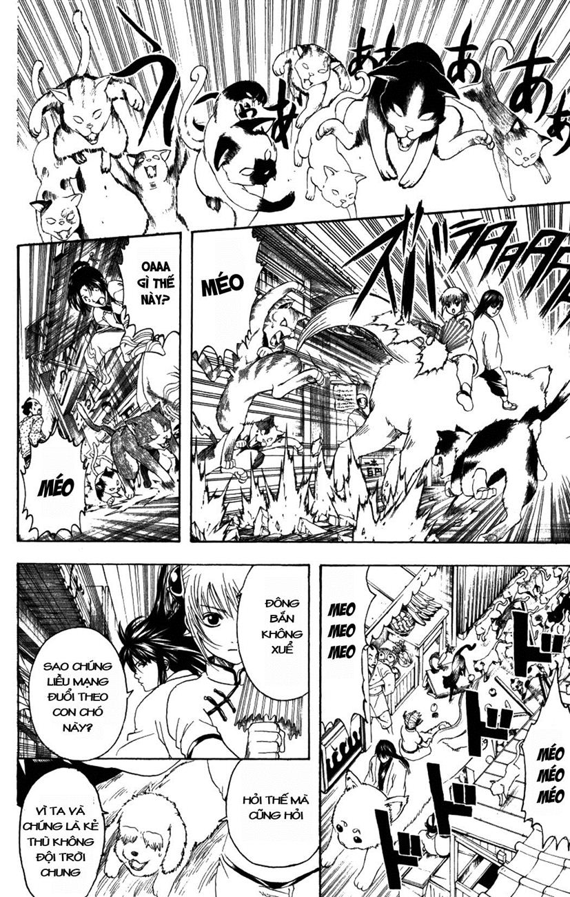 Gintama - Chương 208