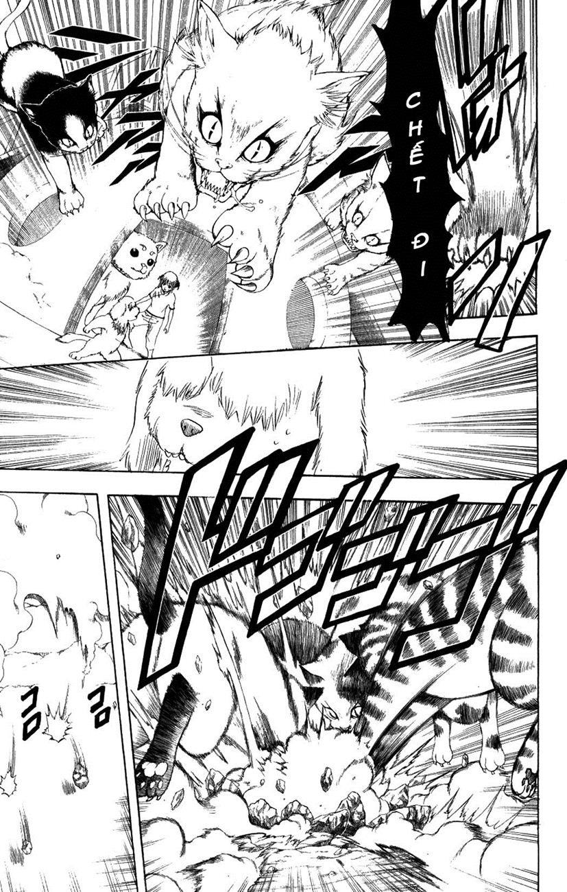 Gintama - Chương 209