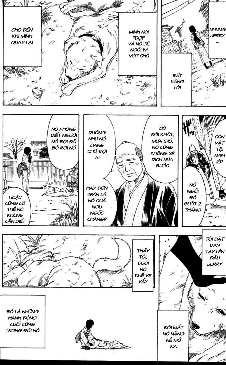 Gintama - Chương 237