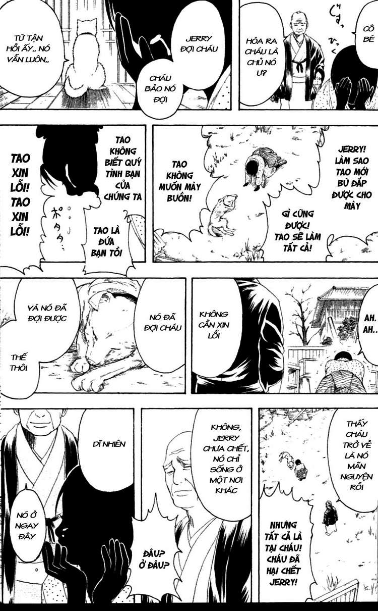 Gintama - Chương 237