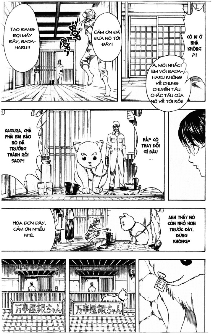 Gintama - Chương 324