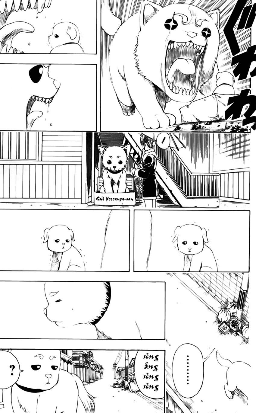Gintama - Chương 401