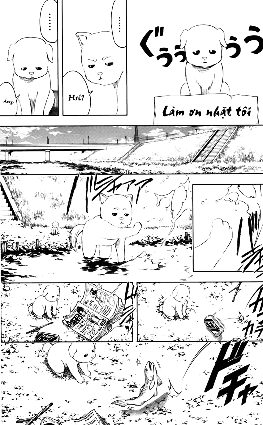 Gintama - Chương 401