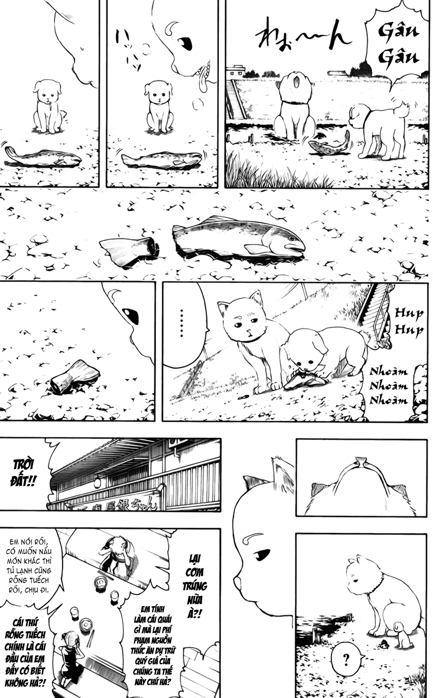 Gintama - Chương 401