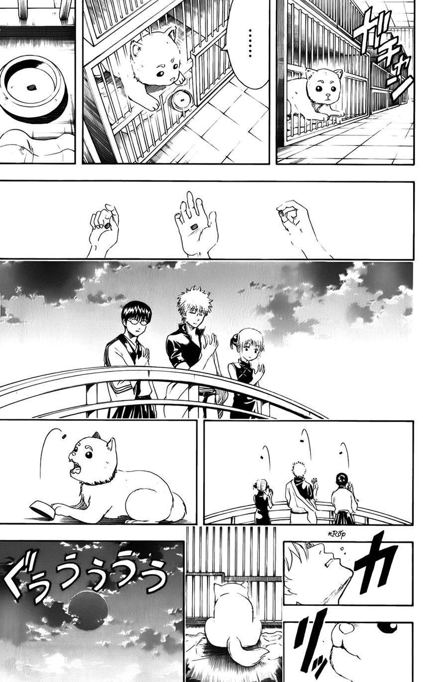 Gintama - Chương 402